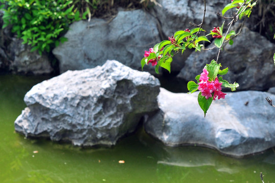 南京總統(tǒng)府花園
