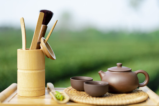 戶外茶道茶文化綠色背景