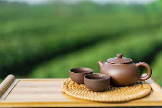 戶外茶道茶文化綠色背景