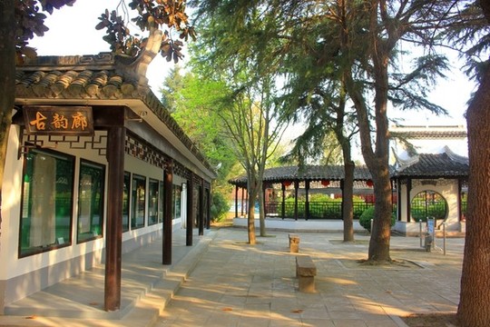 江蘇鹽城枯枝牡丹園