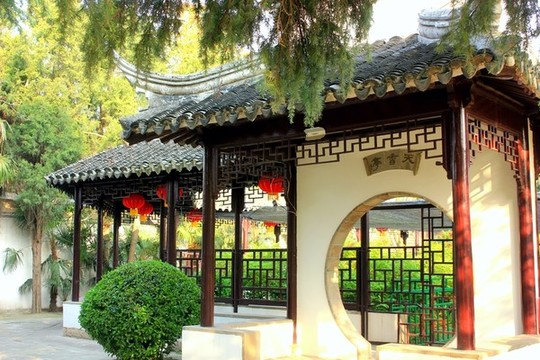江蘇鹽城枯枝牡丹園