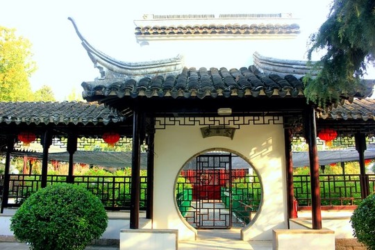 江蘇鹽城枯枝牡丹園