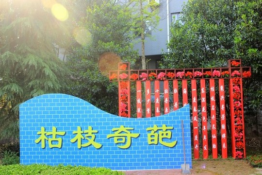江蘇鹽城枯枝牡丹園