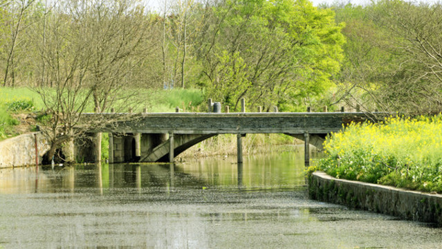 河道