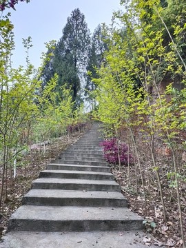 園林景觀臺(tái)階