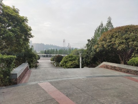 公園綠植