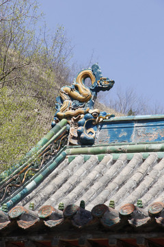 凈因寺5