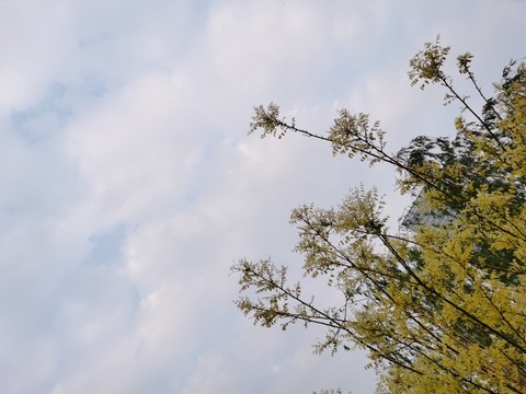 天空