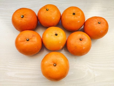 沃柑信號