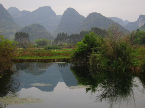 水塘