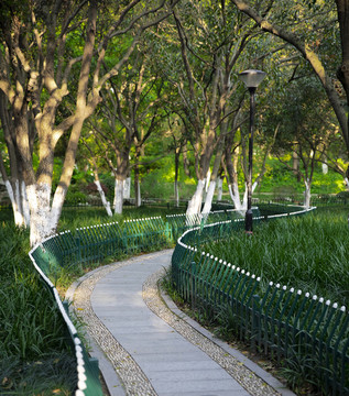 林蔭小路