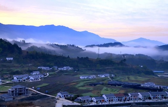 竹溪云霧三