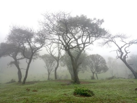 八排山雨霧