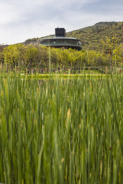 南京湯山礦坑公園