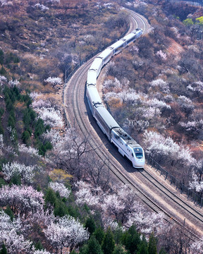 開(kāi)往春天的列車(chē)