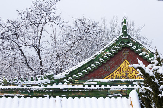 后海的雪