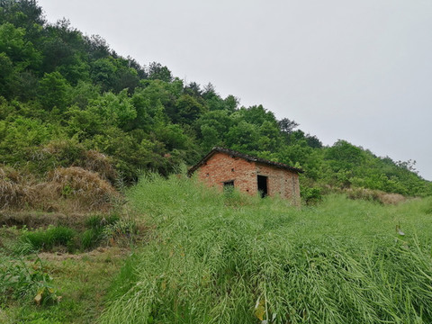 鄉(xiāng)村小屋