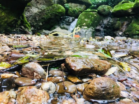 小溪流水清涼攝影圖片