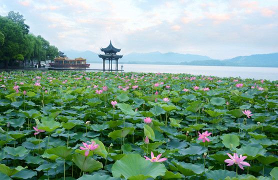 西湖風光