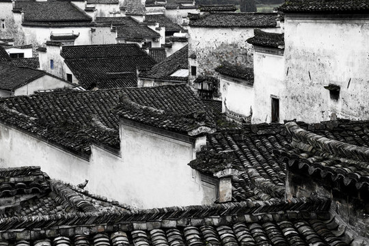 西遞古村景區(qū)