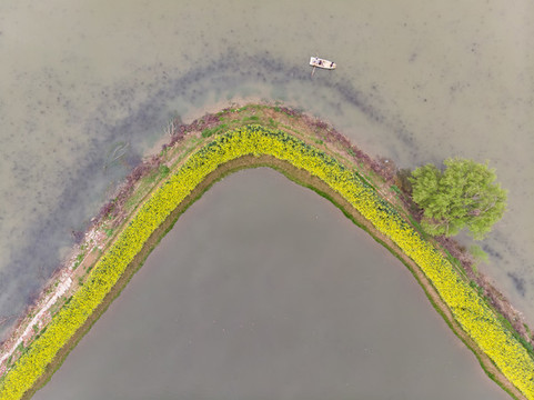 湖北黃石保安湖濕地公園航拍風(fēng)光