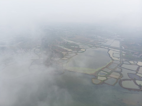湖北大冶保安湖濕地公園航拍風(fēng)光