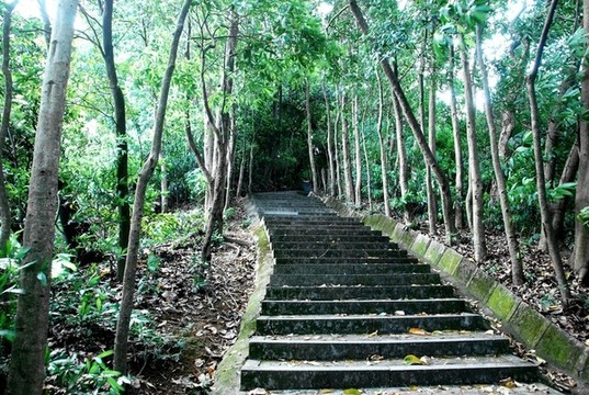 登山階梯