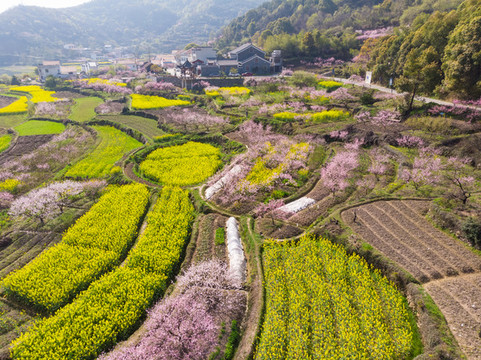 湖北黃石沼山森林公園航拍風(fēng)光