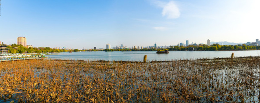 大明湖