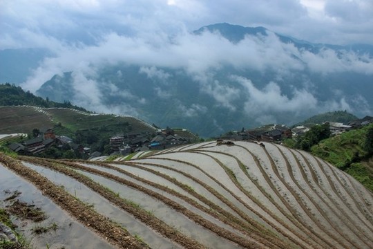 中國桂林龍勝龍脊梯田