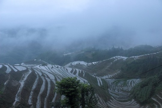 中國桂林龍勝龍脊梯田