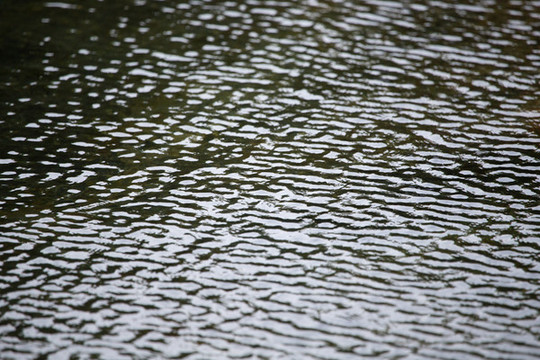 水