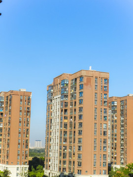 樓宇