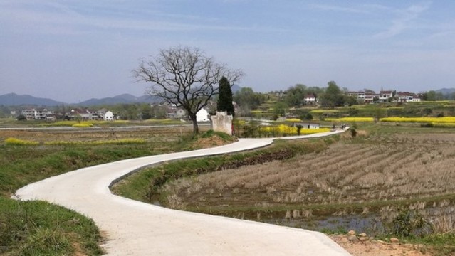村村通水泥路