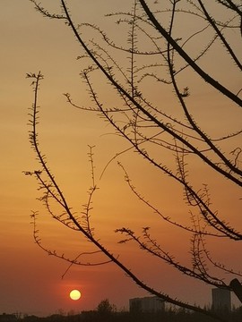 湖邊夕陽