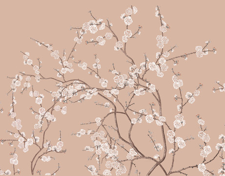 花鳥(niǎo)