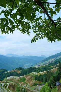 廣西風景區(qū)