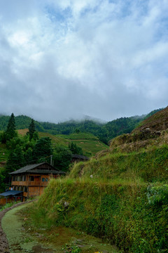 綠色旅游