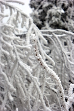 衡山雪景
