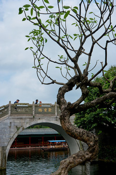 石橋