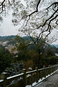 雪景
