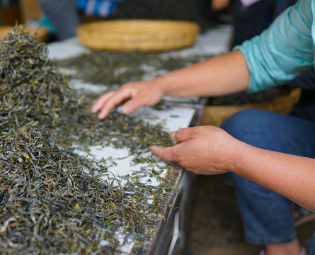 制茶工藝