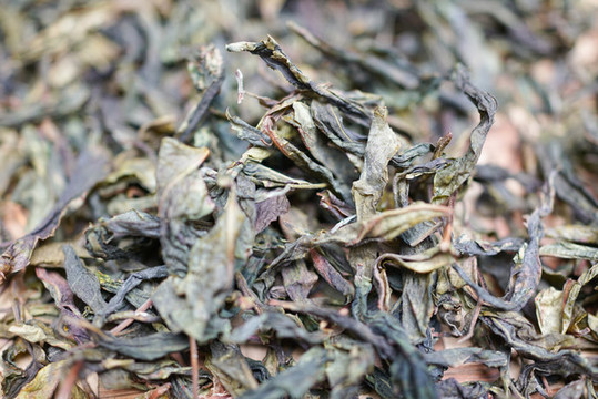 古樹茶
