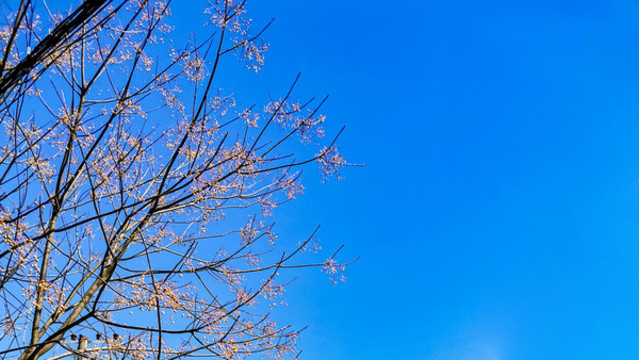 湛藍的天空