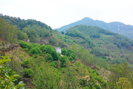 云南山村