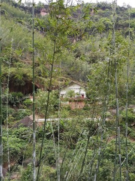 綠水青山
