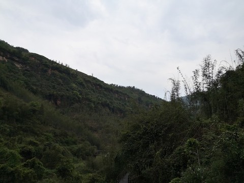 綠水青山