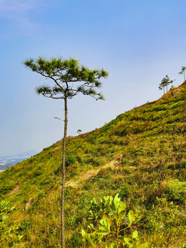 山頂風(fēng)光