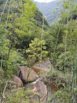綠水青山