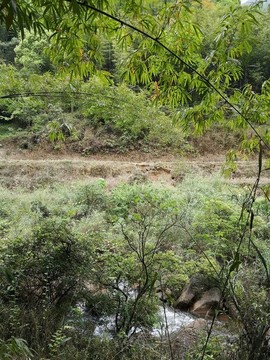 綠水青山